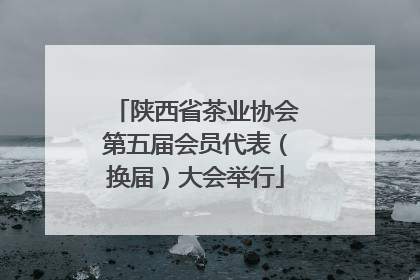 陕西省茶业协会第五届会员代表（换届）大会举行