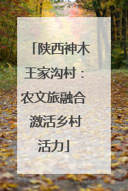陕西神木王家沟村：农文旅融合 激活乡村活力