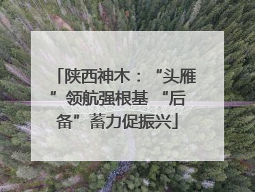 陕西神木：“头雁”领航强根基 “后备”蓄力促振兴