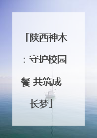 陕西神木：守护校园餐 共筑成长梦