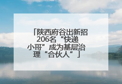 陕西府谷出新招 206名“快递小哥”成为基层治理“合伙人”