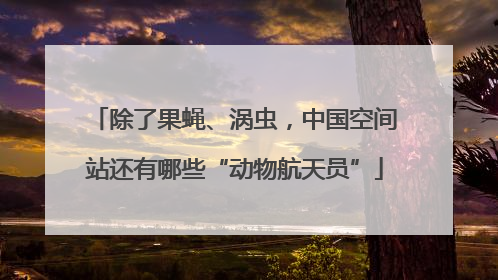 除了果蝇、涡虫，中国空间站还有哪些“动物航天员”