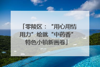零陵区：“用心用情用力”绘就“中药香”特色小镇新画卷