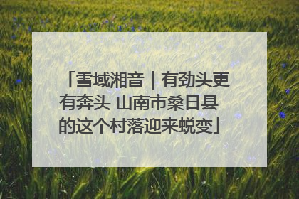 雪域湘音｜有劲头更有奔头 山南市桑日县的这个村落迎来蜕变