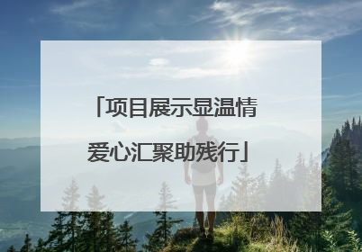 项目展示显温情 爱心汇聚助残行