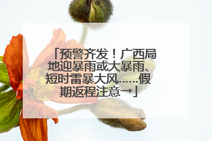 预警齐发！广西局地迎暴雨或大暴雨、短时雷暴大风……假期返程注意→
