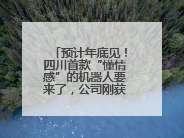 预计年底见！四川首款“懂情感”的机器人要来了，公司刚获数千万元融资