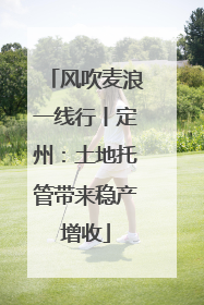 风吹麦浪一线行丨定州：土地托管带来稳产增收