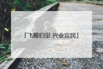 飞雁归巢 兴业富民