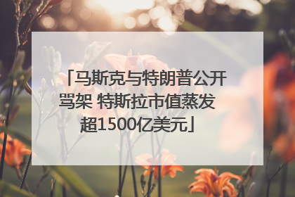 马斯克与特朗普公开骂架 特斯拉市值蒸发超1500亿美元