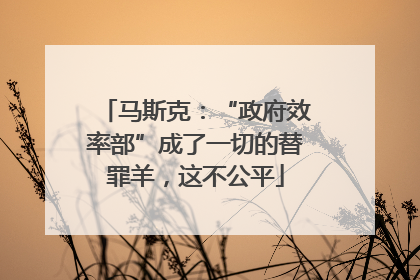 马斯克：“政府效率部”成了一切的替罪羊，这不公平