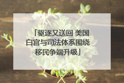 驱逐又送回 美国白宫与司法体系围绕移民争端升级