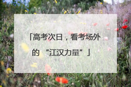 高考次日，看考场外的 “江汉力量”