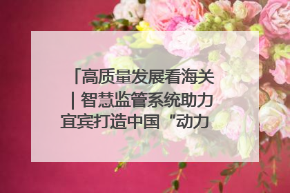 高质量发展看海关｜智慧监管系统助力宜宾打造中国“动力电池之都”