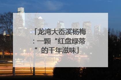 龙湾大岙溪杨梅：一颗“红盘绿蒂”的千年滋味