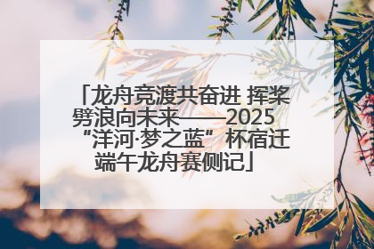 龙舟竞渡共奋进 挥桨劈浪向未来——2025“洋河·梦之蓝”杯宿迁端午龙舟赛侧记