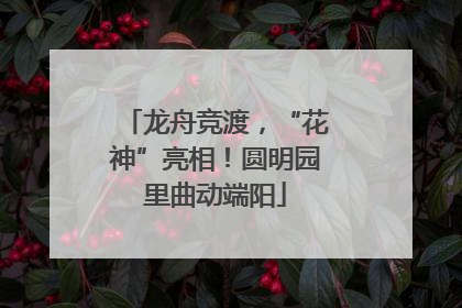 龙舟竞渡，“花神”亮相！圆明园里曲动端阳
