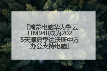 鸿蒙电脑华为擎云 HM940成为2025天津夏季达沃斯中方办公支持电脑