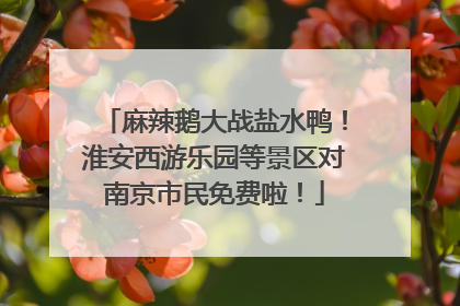麻辣鹅大战盐水鸭！淮安西游乐园等景区对南京市民免费啦！