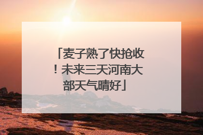 麦子熟了快抢收！未来三天河南大部天气晴好
