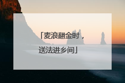 麦浪翻金时，送法进乡间