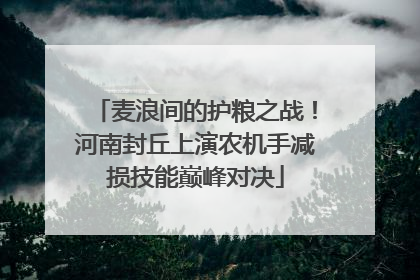 麦浪间的护粮之战！河南封丘上演农机手减损技能巅峰对决