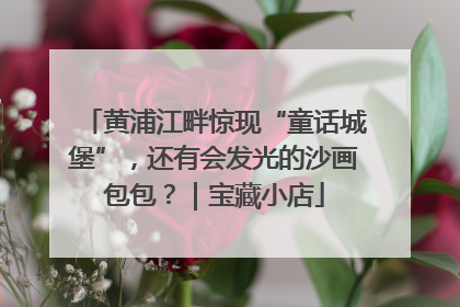 黄浦江畔惊现“童话城堡”，还有会发光的沙画包包？｜宝藏小店