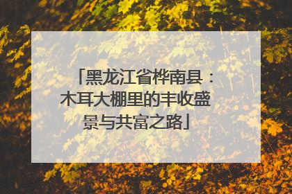 黑龙江省桦南县：木耳大棚里的丰收盛景与共富之路