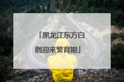 黑龙江东方白鹳迎来繁育期