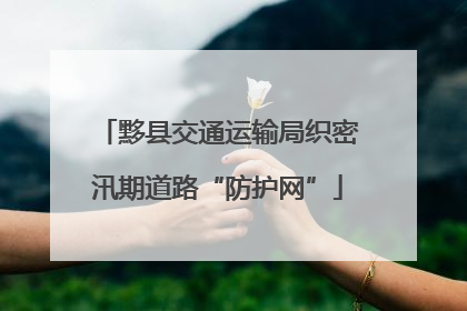 黟县交通运输局织密汛期道路“防护网”
