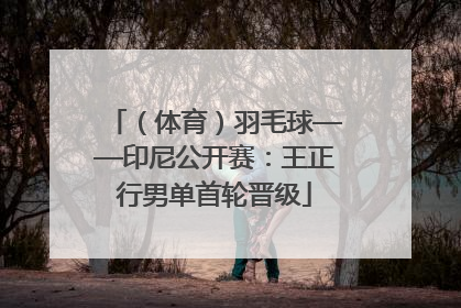 （体育）羽毛球——印尼公开赛：王正行男单首轮晋级