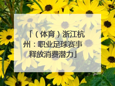 （体育）浙江杭州：职业足球赛事释放消费潜力