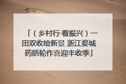 （乡村行·看振兴）一田双收绘新景 浙江婺城药膳轮作喜迎丰收季