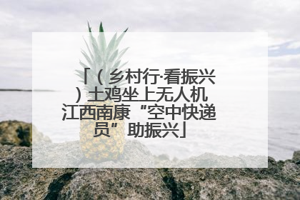 （乡村行·看振兴）土鸡坐上无人机 江西南康“空中快递员”助振兴
