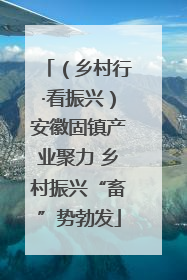 （乡村行·看振兴）安徽固镇产业聚力 乡村振兴“畜”势勃发