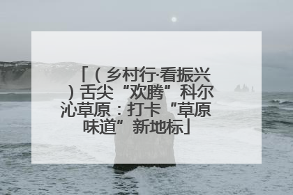 （乡村行·看振兴）舌尖“欢腾”科尔沁草原：打卡“草原味道”新地标