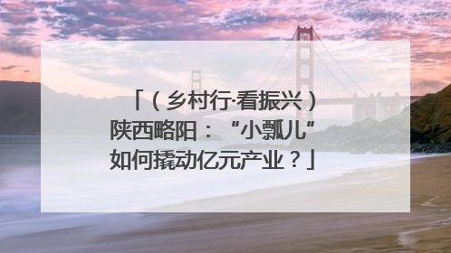 （乡村行·看振兴）陕西略阳：“小瓢儿”如何撬动亿元产业？