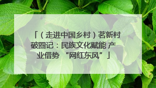 （走进中国乡村）茗新村破圈记：民族文化赋能 产业借势 “网红东风”
