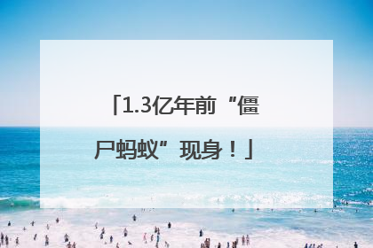 1.3亿年前“僵尸蚂蚁”现身！