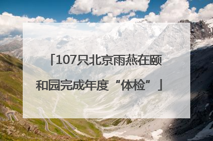 107只北京雨燕在颐和园完成年度“体检”