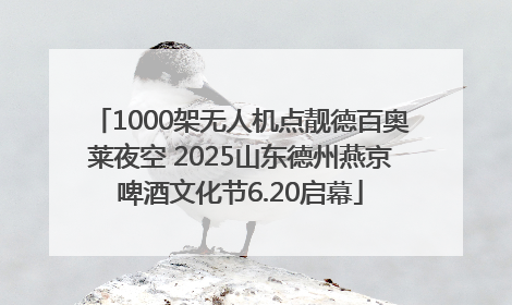 1000架无人机点靓德百奥莱夜空 2025山东德州燕京啤酒文化节6.20启幕