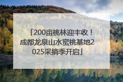 200亩桃林迎丰收！成都龙泉山水蜜桃基地2025采摘季开启