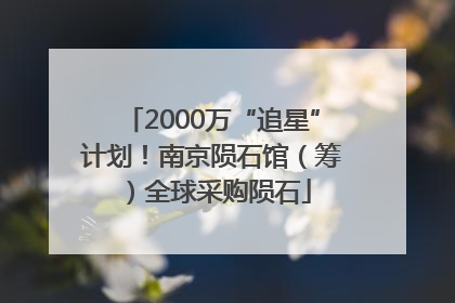 2000万“追星”计划！南京陨石馆（筹）全球采购陨石