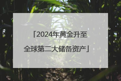 2024年黄金升至全球第二大储备资产