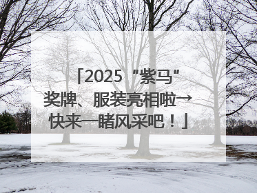 2025“紫马”奖牌、服装亮相啦→快来一睹风采吧！