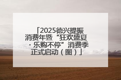 2025德兴提振消费年暨“狂欢盛夏・乐购不停”消费季正式启动（图）