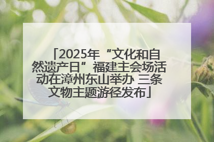 2025年“文化和自然遗产日”福建主会场活动在漳州东山举办 三条文物主题游径发布
