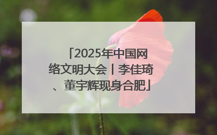 2025年中国网络文明大会丨李佳琦、董宇辉现身合肥