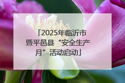 2025年临沂市暨平邑县“安全生产月”活动启动
