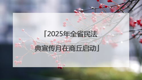 2025年全省民法典宣传月在商丘启动